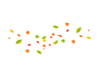 autumn falling leaves isolated on white background vector