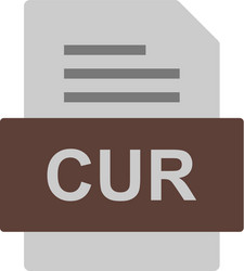 cur file document icon vector image