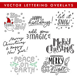 Festive Hand Lettered Quotes - Merry Christmas & N Vector Image