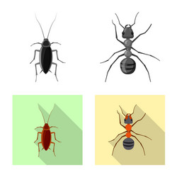 isolated object of insect and fly symbol set vector image