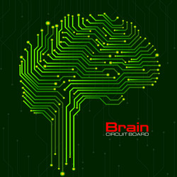 abstract technological brain with circuit board vector image