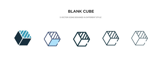 blank cube icon in different style two colored vector image