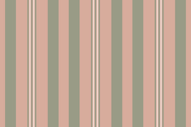 Elegant Vertical Stripe Pattern vector image