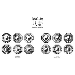 yin and yang symbol with bagua trigrams vector image