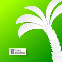 palm tree on white background vector image