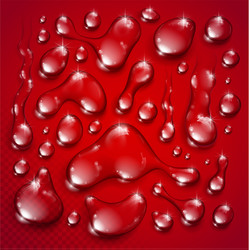 Water drops set realistic 3d elements collection vector