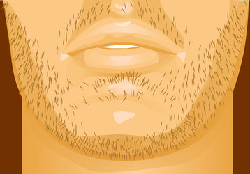 mens lips vector