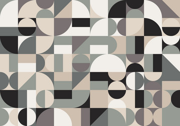 monochrome colors abstract pattern design vector image