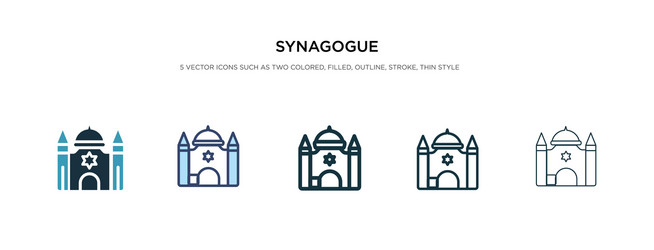 Synagogue icon in different style two colored vector