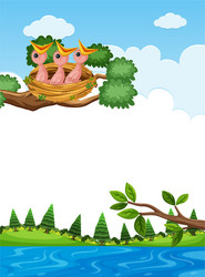 chicks in nest on tree branch vector image