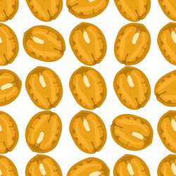 on theme big pattern identical types walnut vector image