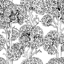 seamless pattern from old forest trees on white vector image