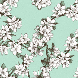 Spring Blossom Apple Branch Pattern vector image