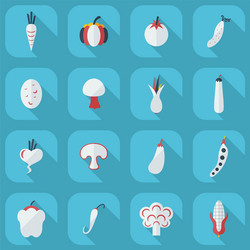 flat concept set modern design with shadow vector image