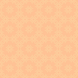 Peach Geometric Pattern vector image