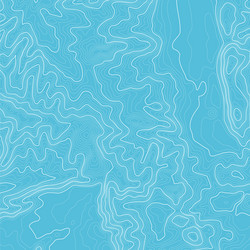 topographic map background with space for copy vector image