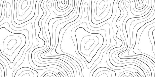 seamless map pattern with topographic lines vector image