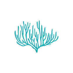 soft leather coral with sharp edge isolated icon vector image