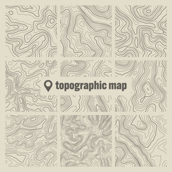 topographic map with contour lines geographic vector image
