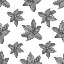 Floral background black and white linear vector