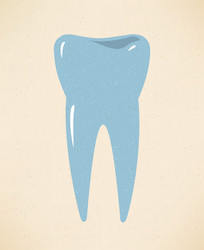 Clean white tooth Royalty Free Vector Image - VectorStock
