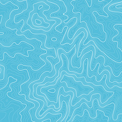 topographic map background with space for copy vector image