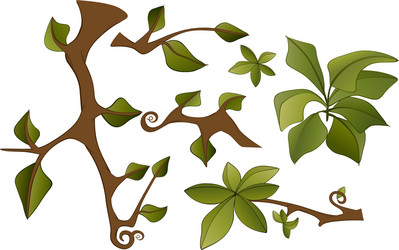 set of branches and leaves vector image