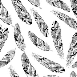 Stylized feathers vector