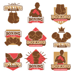 boxing club or boxer school championship Vector Image