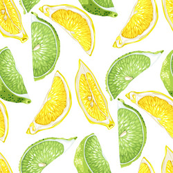 Citrus Slice Pattern - Lime & Lemon vector image