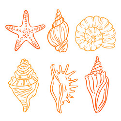 Outline seashell set vector