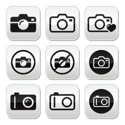 Camera Button Icons Set vector image