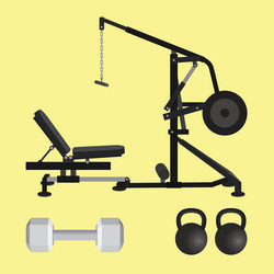 gym equipment with dumbell kettlebell and lat pull vector