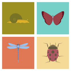 assembly flat bug snail butterfly vector image