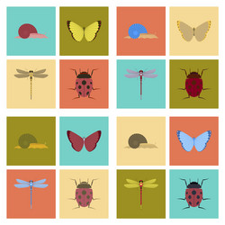 Assembly flat bug snail butterfly vector