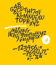 handwritten font bold script vector image