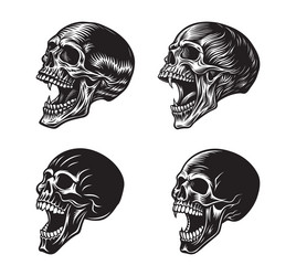human skull in side view with mouth open Vector Image