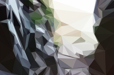 Grey Geometric Triangle Pattern vector image