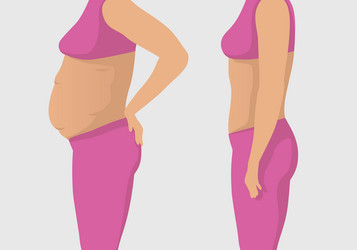 Womans body with a fat belly and toned Royalty Free Vector