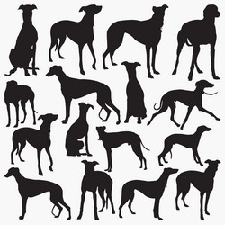 Greyhound Silhouettes Vector Image