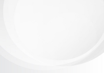 abstract white background with lines curve vector image
