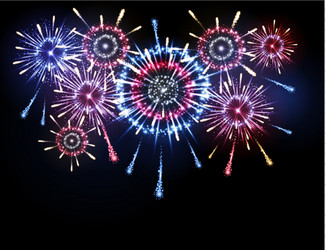 holiday firework vector