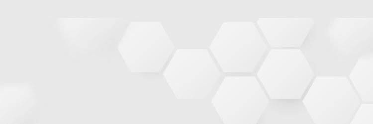 White Hexagon Pattern Background vector image