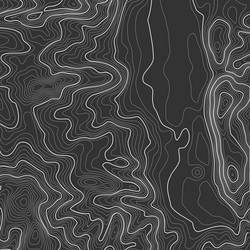 topographic map background with space for copy vector image