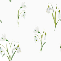 Snowdrop Watercolor Floral Pattern Vector Image
