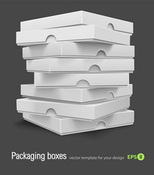 Pizza Boxes Packaging Vector Image