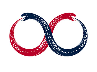 ouroboros snake in a shape of infinity symbol vector image