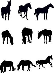horse silhouettes Vector Image