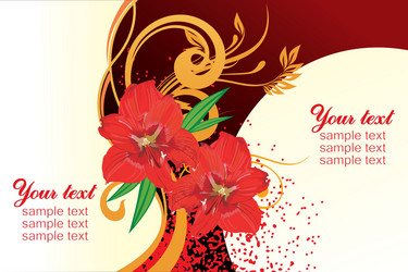 red lily design with text space vector image