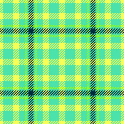 fabric pattern textile of plaid texture check vector image